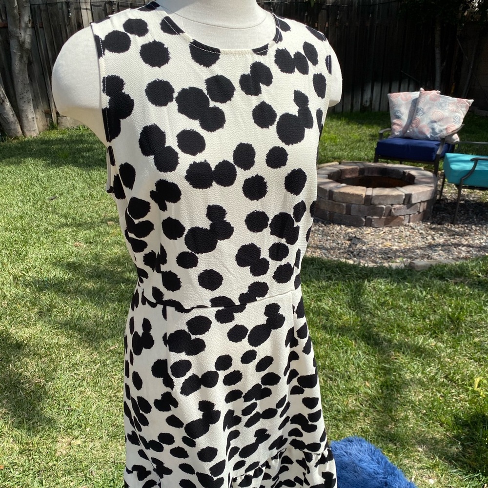 Black & White dress